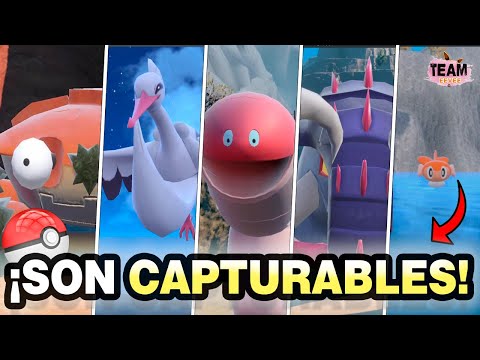 ✨ ¡¡Cómo CAPTURAR Pokémon DOMINANTES y Ponerles la Insignia ÚNICA! | Pokémon Escarlata y Púrpura