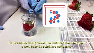 Miniatura do vídeo