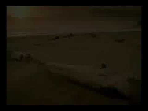 Fasics - Selbsttherapie