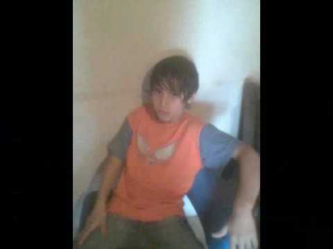 pitbull vs rio de janeiro remix