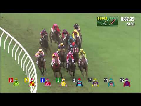 1/7/2022 (797) Power Koepp -  A Badel