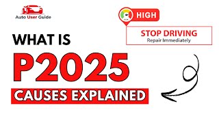 Meaning of OBD p2025