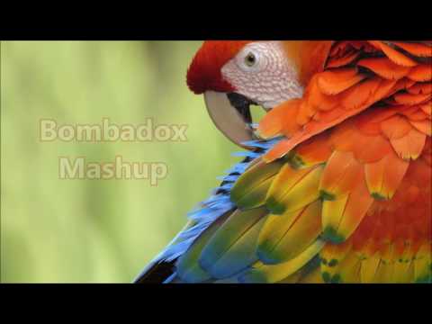 Kryptonite in Astronomia (Bombadox Mashup 2016)