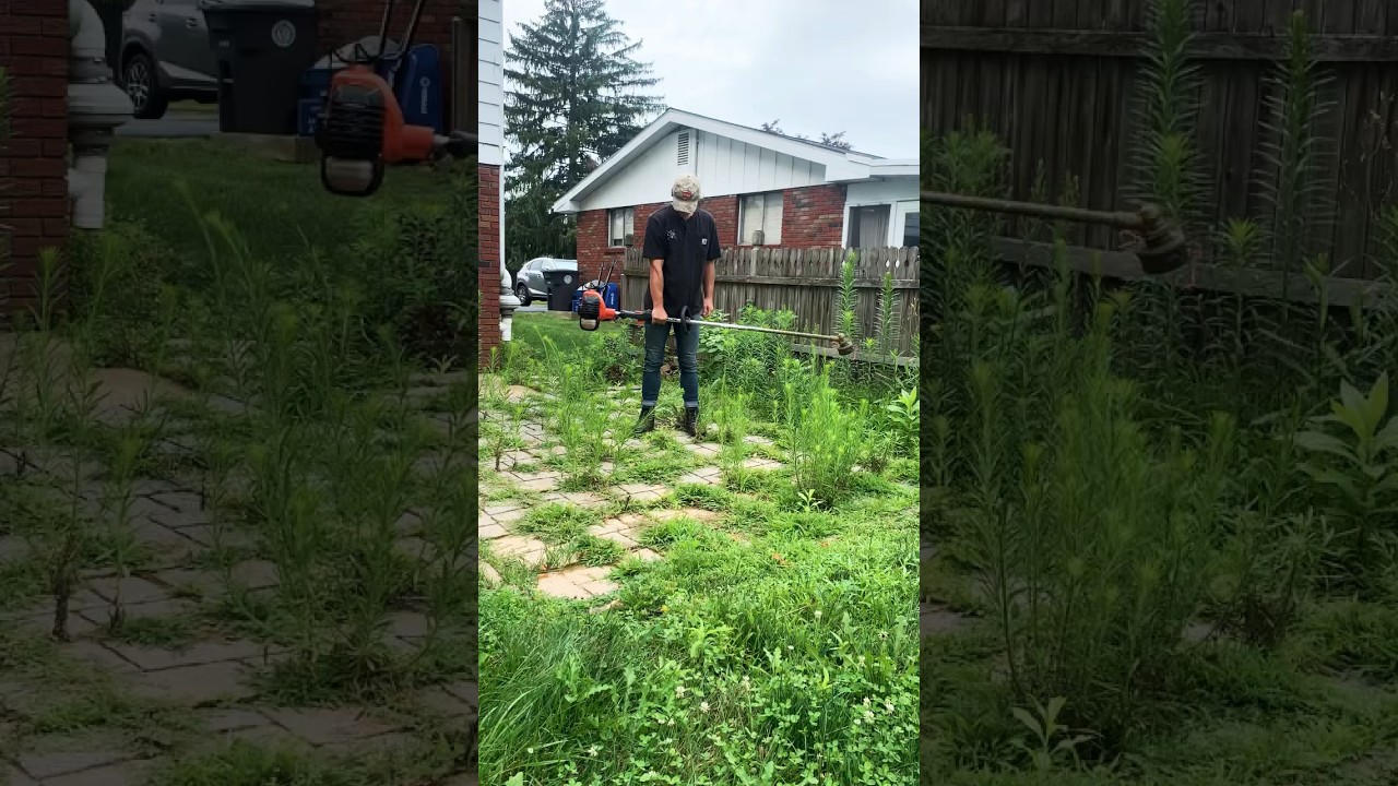 Transforming SUPER OVERGROWN Landscaping #oddlysatisfying #asmr