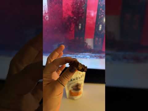 Pumpkinpalooza 2023 Day 13: Sanders Small Batch Wonders Pumpkin Spice Chocolate Sea Salt Caramels