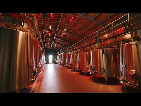 IMMERSION - CHÂTEAU FLEUR CARDINALE