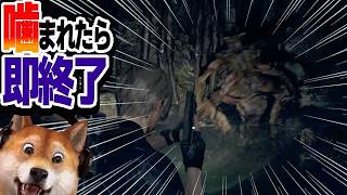 噛まれたら即終了 バイオハザードRE:4 / part410