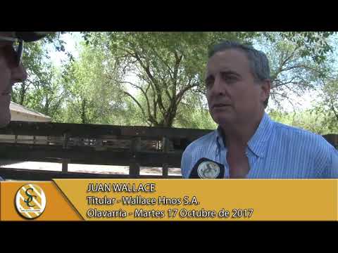17-10-17 Nota Juan Wallace - Exposición Angus - Olavarria.