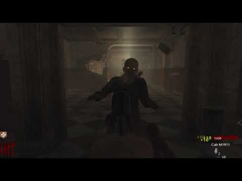 WAW Zombies Verruckt record