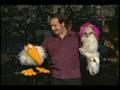 Ventriloquist KEVIN JOHNSON on David Letterman.