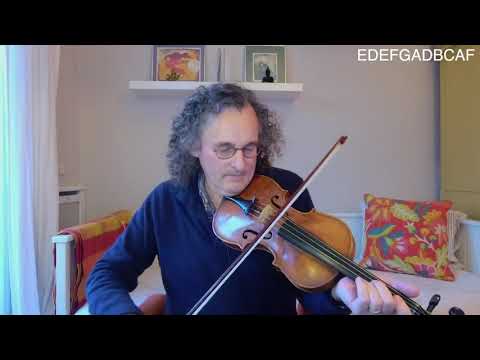 Martin Hayes - I buried My Wife and Danced on Her Grave - Lesson #20