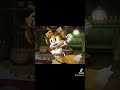 Tails Sings Sticks And Technology Sitting In The Tree From Sonic Boom Nutwork Episode