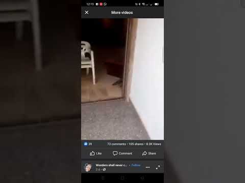 He was popularly known" Ezego Ndi lgbo"(king of money 💲💰 in early 90's in lgbo land Nigeria).