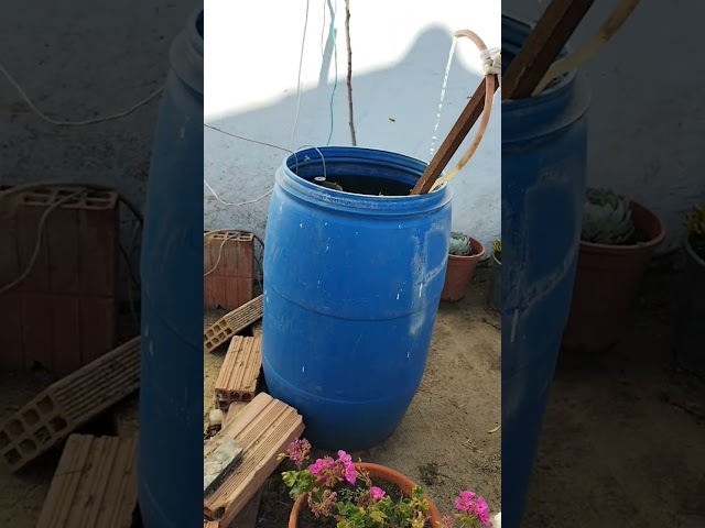 Vídeo relacionado con Flintronic Nido de Avispas, 2 Piezas Señuelo de Nido de Avispas Nido de Avispas, Impermeable Trampa Avispas Exterior, Se Utiliza en Hogares y Jardines al Aire Libre para Repeler Avispas, Amarillo