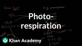 Photorespiration