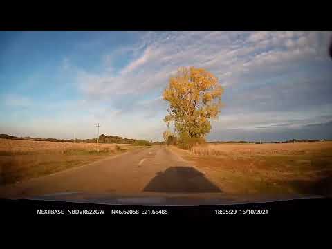 [DJ 794 - FULL] DN 79 - Misca - Berechiu, Arad, Romania [2021]