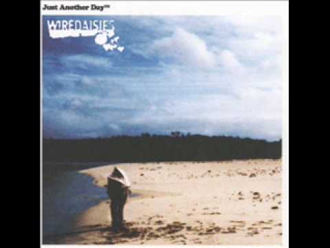 Wire Daisies - Come winter time
