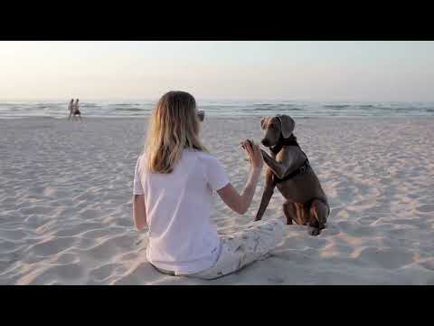 No Fortunate Son Part 02 - Pike Logan #7 | Brad Taylor | Best Spy Thriller Audiobook