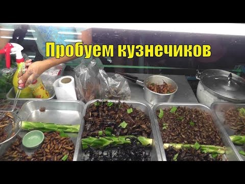 Тайланд,Паттайя.Дегустация насекомых.