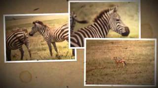 Patrick Treacy Travels : 'Gibraltar to Capetown'