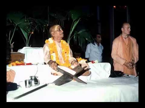 We Should Take Up the Words from the Spiritual Master as Our Life and Soul - Prabhupada 0124