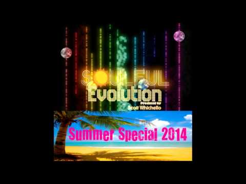 Soulful Evolution Summer Special 2014 Soulful House Show (103)