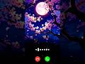 New Message Ringtone 2025 Sms Tone Sms Ringtone Notifications Ringtone Smstone Love Shorts