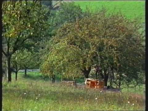 Mittendrin in einem Apfelbaum Folge 23 Teil 2