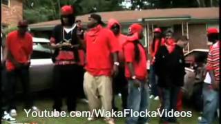 ViceLords And Bloods Video