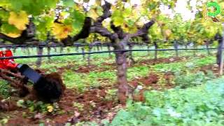 ID DAVID X10-TILLER Semi-Chisel Cultivator youtube thumbnail 5