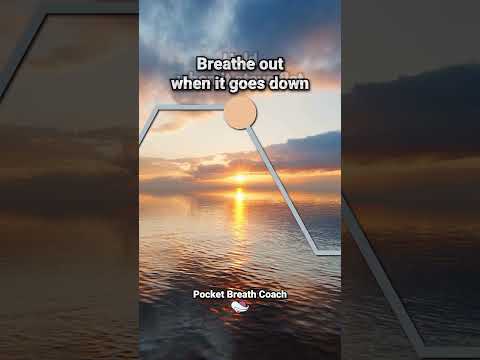 Deep Breathing Exercise for Panic Attacks  #breathing #breathingtechnique #breathingexercise
