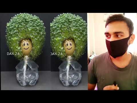 Growing Chia Seeds In Egg 😱 Time Lapse Video #egg #techsamar