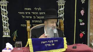 הרב בן ציון מוצפי - הלכות הוצאת ספר תורה חלק ג סודאי כסלו תשפ"א