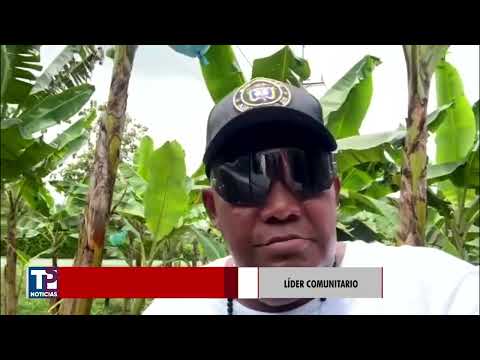 Alerta en Chocó por llegada de sargazo que afecta playas de Acandí y amenaza ecosistemas