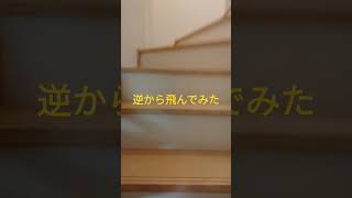流行りのやつを逆から飛んでみバズレー