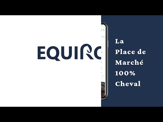 Jument CSO , CCE , Hunter 3 ans