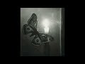 01 LB BUTTERFLY EFFECT 2 Prod By DEXTAH