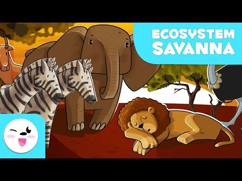 Animals of the Savanna - Learning Ecosystems for Kids