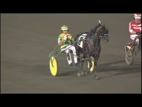 2014 Meadowlands Pace July 12 Race 9 He's Watching Driver Tim Tetrick All Age World Record 1:46:4