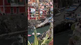 Global — Bhuveda Natural