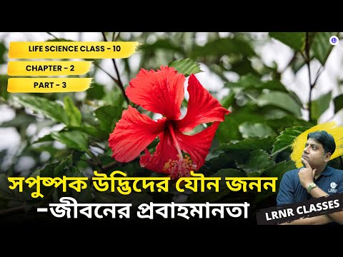 Chapter 2 Sopushpok Udvider Jouno Jonon (Part 3)