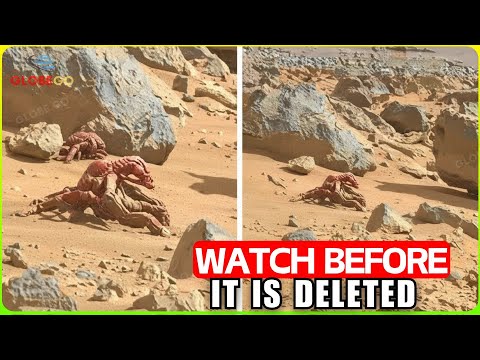 NASA STUNNED! The Mars Rover Sent Back One Terrifying Image Before Silence... - Documentary