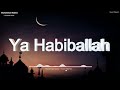 Muhammad Nabina Slowed And Reverb With Lyrics Muhammadnabina Muhammadnabinastatus
