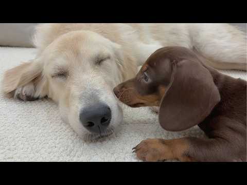 YouTube 썸네일