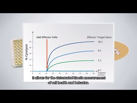 면역세포치료제 연구의 든든한 파트너 Label Free Real Time Cell Analyzer xCELLigence – A Transformative Technology in Cancer Research