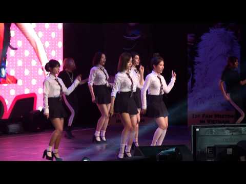 [Fancam] 150110 T-ara - Sexy Love @ Fanmeeting in VietNam