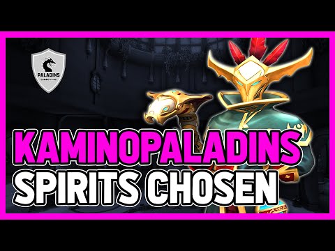 KamiNoPaladins Maldamba l MASTER l SPIRIT'S CHOSEN