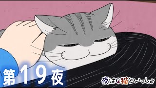 のぴったりフィット感と、大福の断面みたいな目がかわいすぎ。 - アニメ『夜は猫といっしょ』第19夜「ネコが足に乗りに来た」