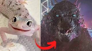 Before   After Animals Growing Up   Amazing Animal   Transformation Animals Grow Up85