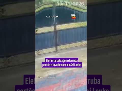 Elefante selvagem derruba portão e invade casa no Sri Lanka